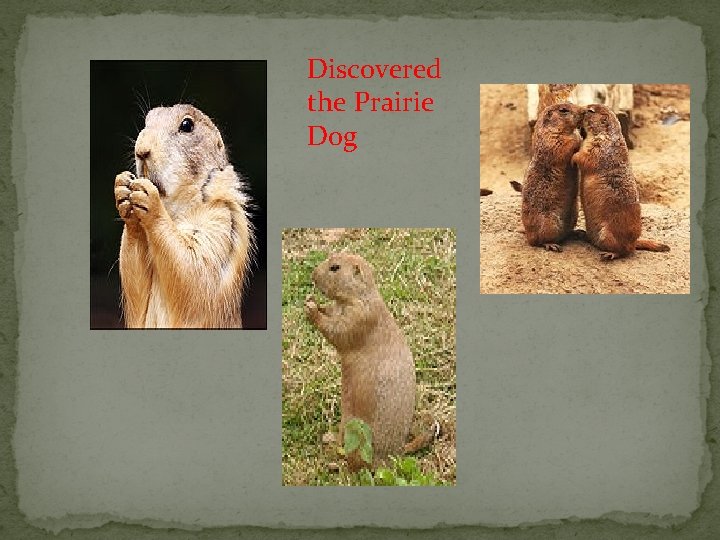 Discovered the Prairie Dog 