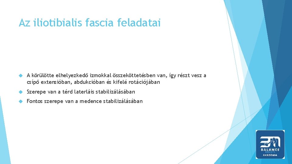 Az iliotibialis fascia feladatai A körülötte elhelyezkedő izmokkal összeköttetésben van, így részt vesz a