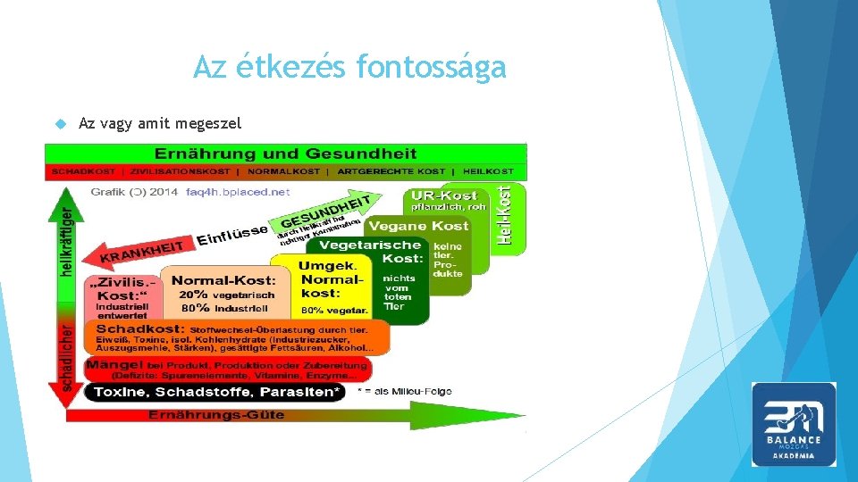 Az étkezés fontossága Az vagy amit megeszel 