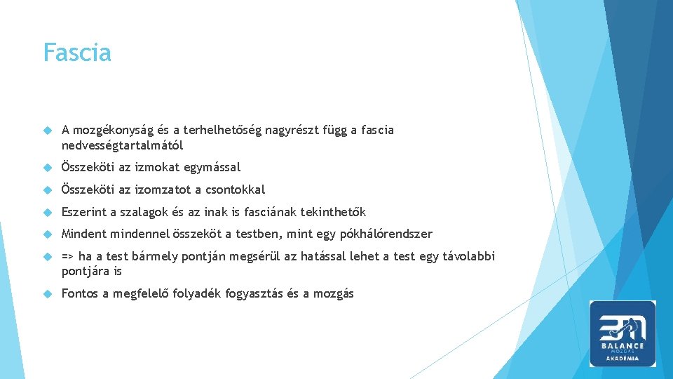 Fascia A mozgékonyság és a terhelhetőség nagyrészt függ a fascia nedvességtartalmától Összeköti az izmokat