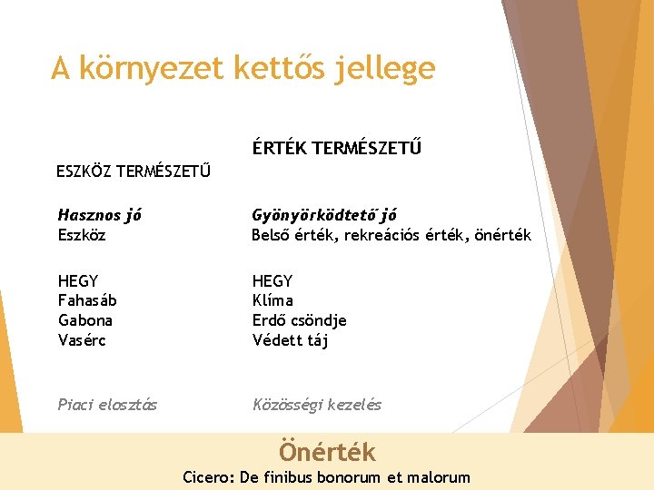 A környezet kettős jellege ÉRTÉK TERMÉSZETŰ ESZKÖZ TERMÉSZETŰ Hasznos jó Eszköz Gyönyörködtető jó Belső