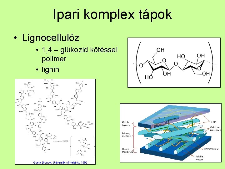 Ipari komplex tápok • Lignocellulóz • 1, 4 – glükozid kötéssel polimer • lignin