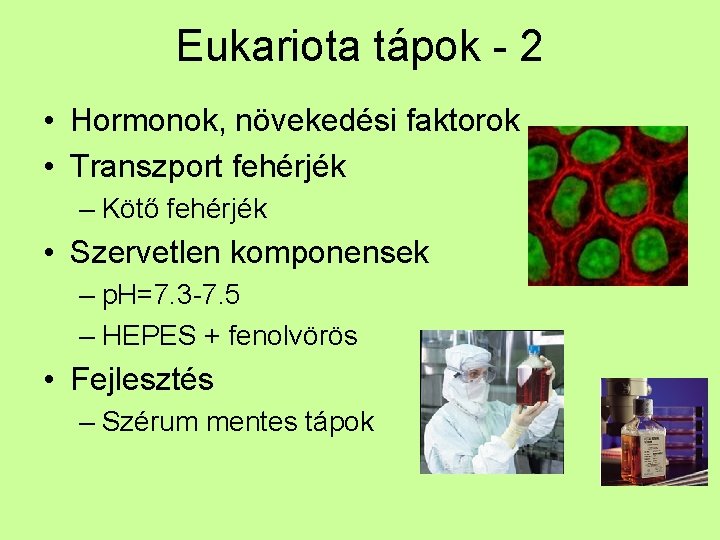 Eukariota tápok - 2 • Hormonok, növekedési faktorok • Transzport fehérjék – Kötő fehérjék