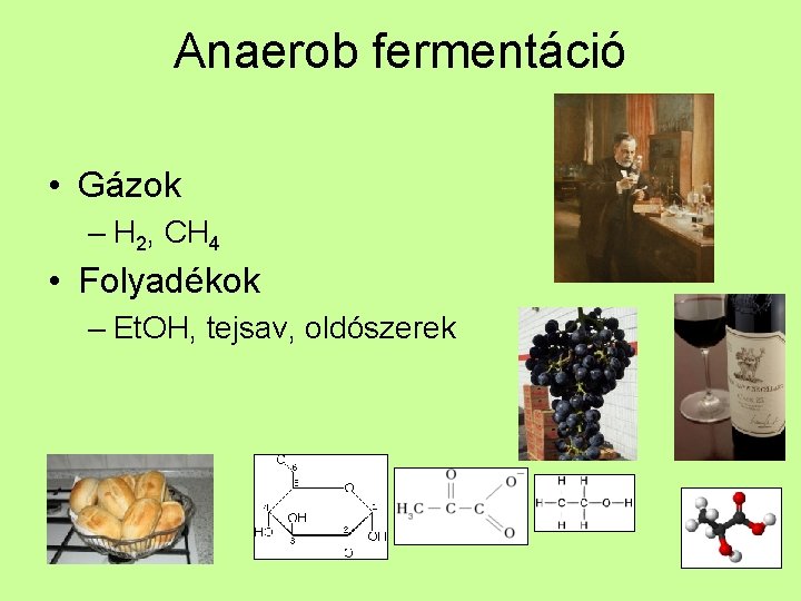 Anaerob fermentáció • Gázok – H 2, CH 4 • Folyadékok – Et. OH,