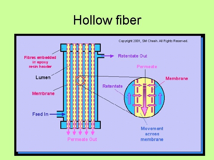 Hollow fiber 