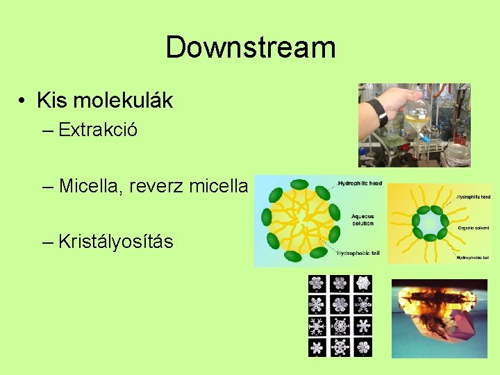 Downstream • Kis molekulák – Extrakció – Micella, reverz micella – Kristályosítás 