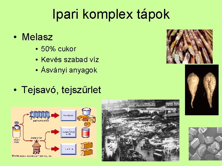 Ipari komplex tápok • Melasz • 50% cukor • Kevés szabad víz • Ásványi