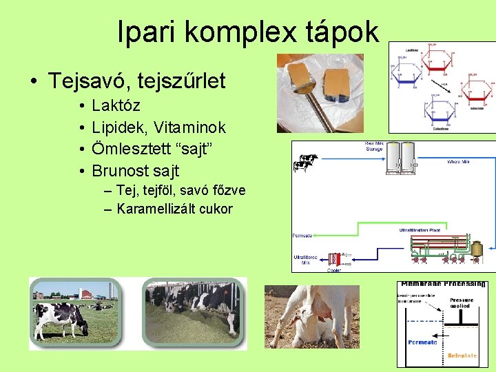 Ipari komplex tápok • Tejsavó, tejszűrlet • • Laktóz Lipidek, Vitaminok Ömlesztett “sajt” Brunost