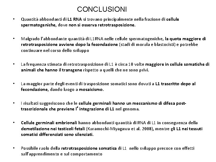 CONCLUSIONI • Quantità abbondanti di L 1 RNA si trovano principalmente nella frazione di
