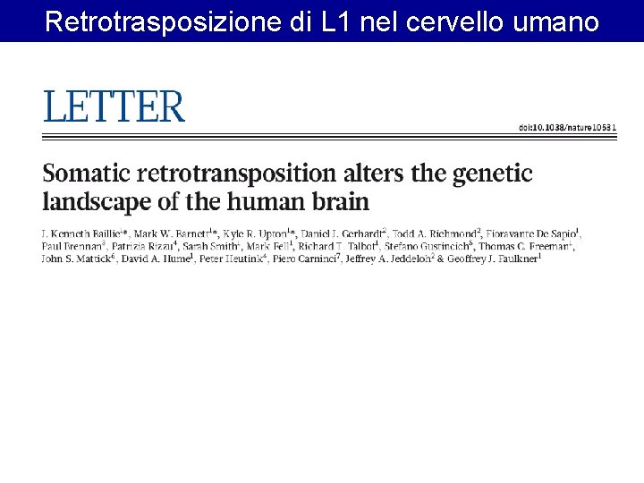 Retrotrasposizione di L 1 nel cervello umano 