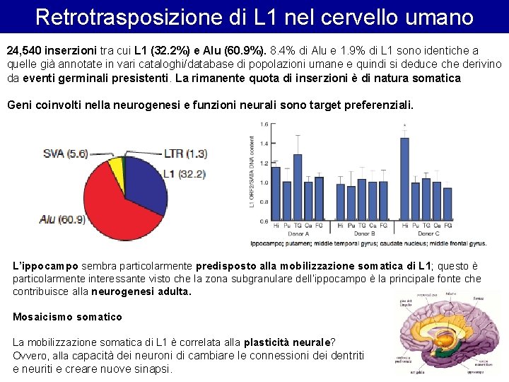 Retrotrasposizione di L 1 nel cervello umano 24, 540 inserzioni tra cui L 1