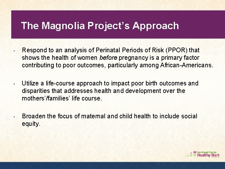 The Magnolia Project’s Approach • Respond to an analysis of Perinatal Periods of Risk
