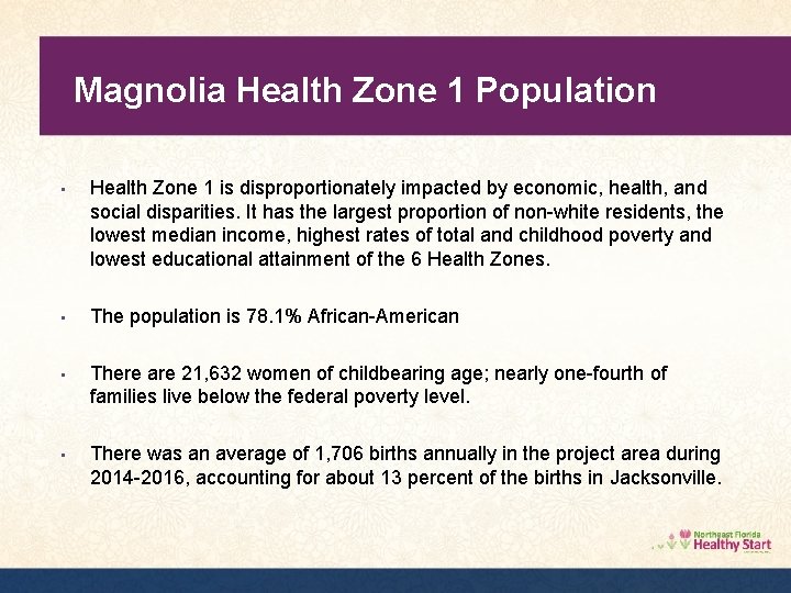 Magnolia Health Zone 1 Population • Health Zone 1 is disproportionately impacted by economic,