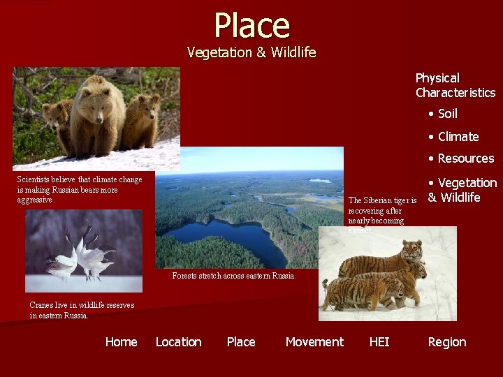 Place Vegetation & Wildlife Physical Characteristics • Soil • Climate • Resources Scientists believe