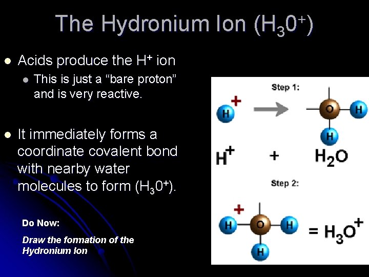 The Hydronium Ion (H 30+) l Acids produce the H+ ion l l This