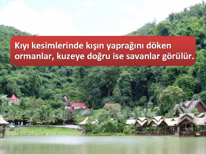 Kıyı kesimlerinde kışın yaprağını döken ormanlar, kuzeye doğru ise savanlar görülür. 