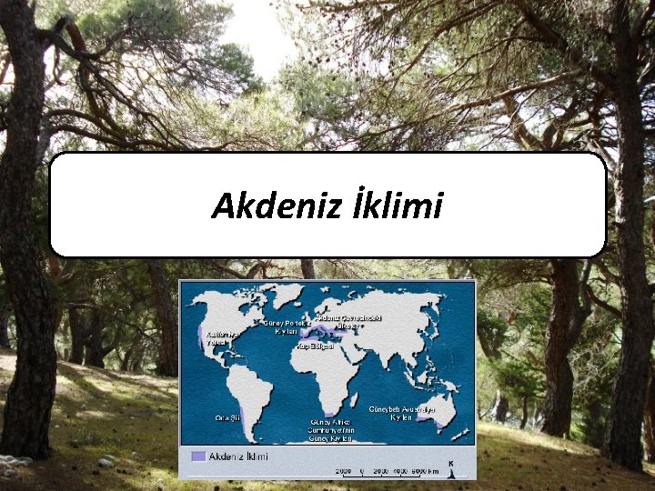 Akdeniz İklimi 