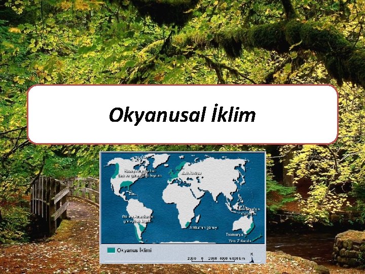 Okyanusal İklim 