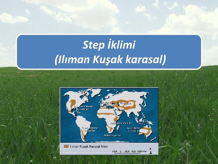 Step İklimi (Ilıman Kuşak karasal) 