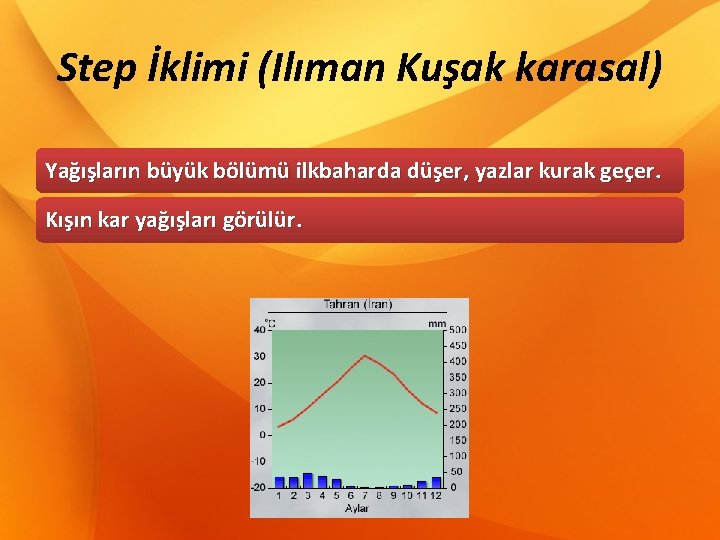 Step İklimi (Ilıman Kuşak karasal) Yağışların büyük bölümü ilkbaharda düşer, yazlar kurak geçer. Kışın