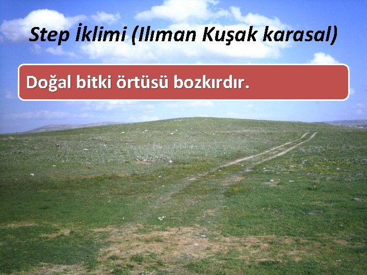 Step İklimi (Ilıman Kuşak karasal) Doğal bitki örtüsü bozkırdır. 