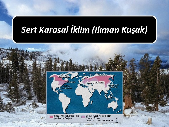 Sert Karasal İklim (Ilıman Kuşak) 