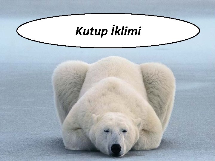 Kutup İklimi 