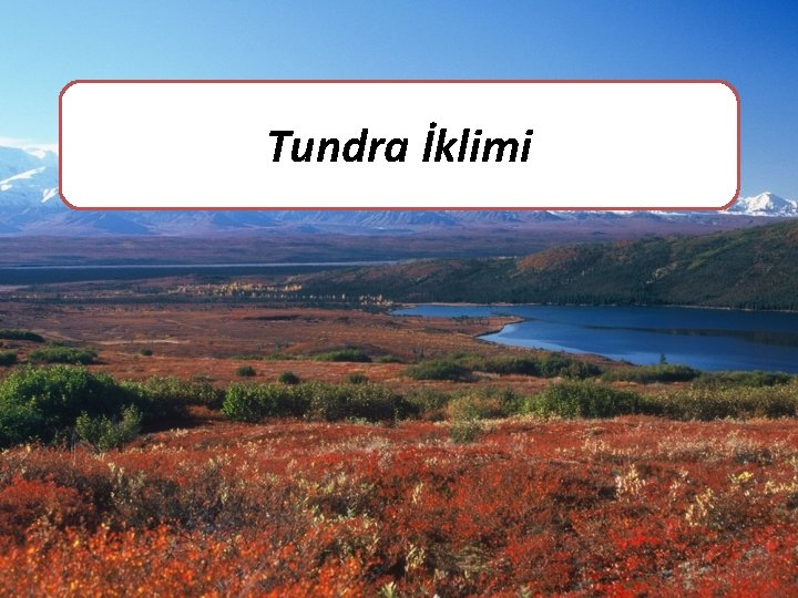 Tundra İklimi 