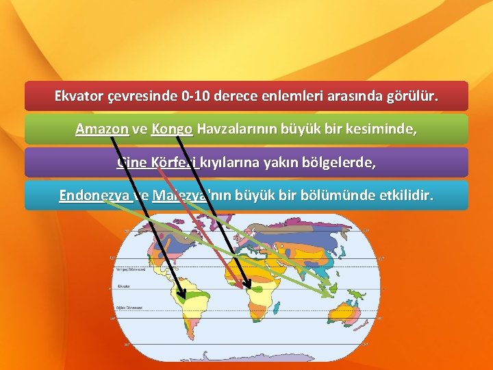 Ekvator çevresinde 0 -10 derece enlemleri arasında görülür. Amazon ve Kongo Havzalarının büyük bir