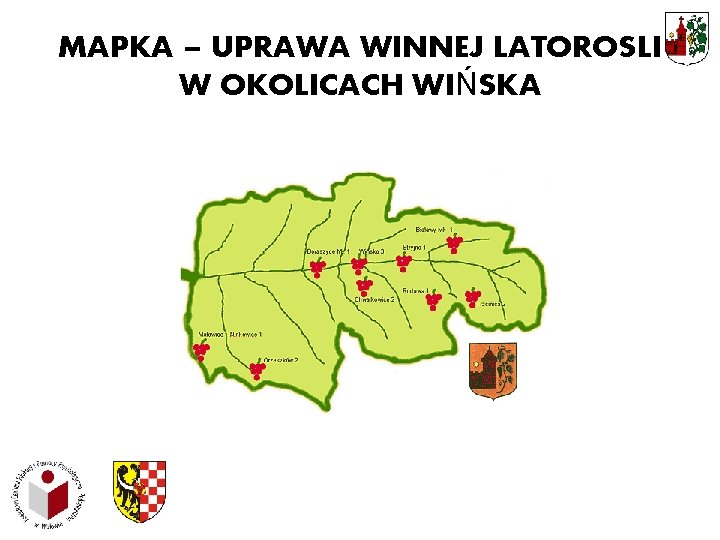 MAPKA – UPRAWA WINNEJ LATOROSLI W OKOLICACH WIŃSKA 