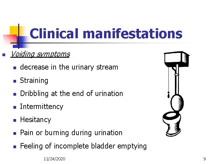 Clinical manifestations n Voiding symptoms n decrease in the urinary stream n Straining n