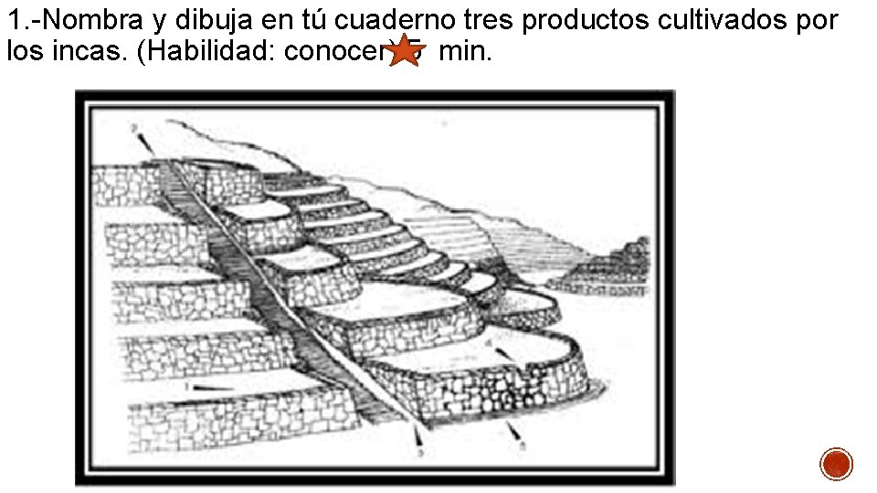 1. -Nombra y dibuja en tú cuaderno tres productos cultivados por los incas. (Habilidad: