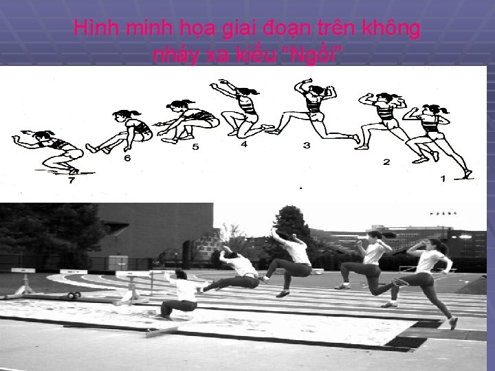 Hình minh họa giai đoạn trên không nhảy xa kiểu “Ngồi” 