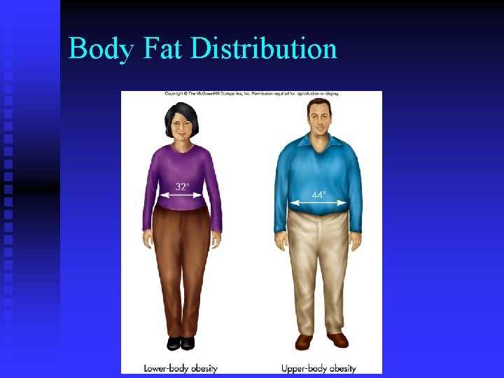 Body Fat Distribution 