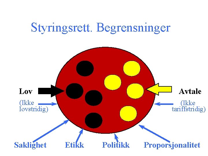 Styringsrett. Begrensninger Lov Avtale (Ikke lovstridig) Saklighet (Ikke tariffstridig) Etikk Politikk Proporsjonalitet 