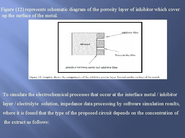 Figure (12) represents schematic diagram of the porosity layer of inhibitor which cover up