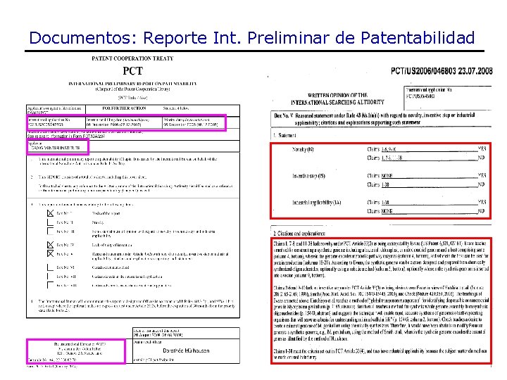 Documentos: Reporte Int. Preliminar de Patentabilidad 