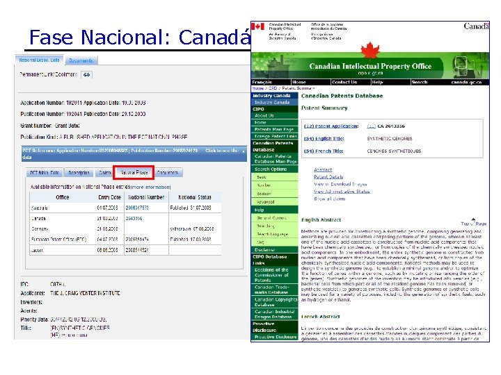 Fase Nacional: Canadá 