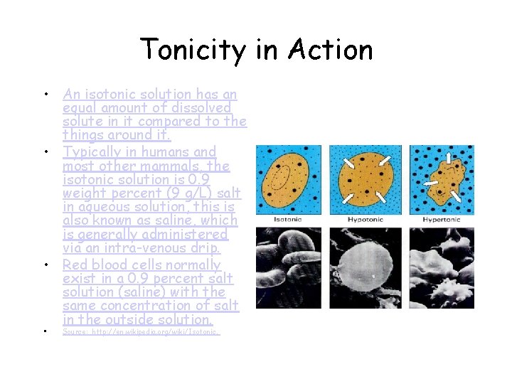 Tonicity in Action • An isotonic solution has an equal amount of dissolved solute