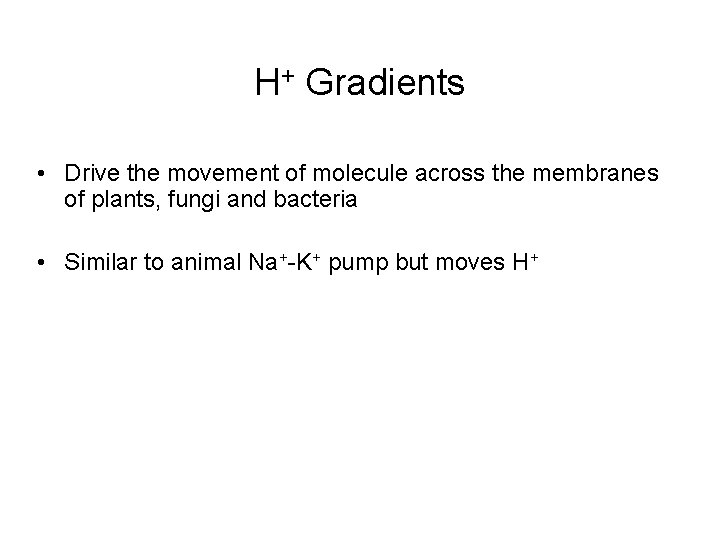 H+ Gradients • Drive the movement of molecule across the membranes of plants, fungi