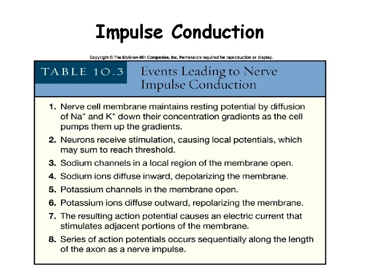Impulse Conduction 