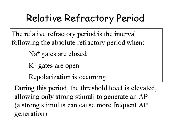 Relative Refractory Period The relative refractory period is the interval following the absolute refractory