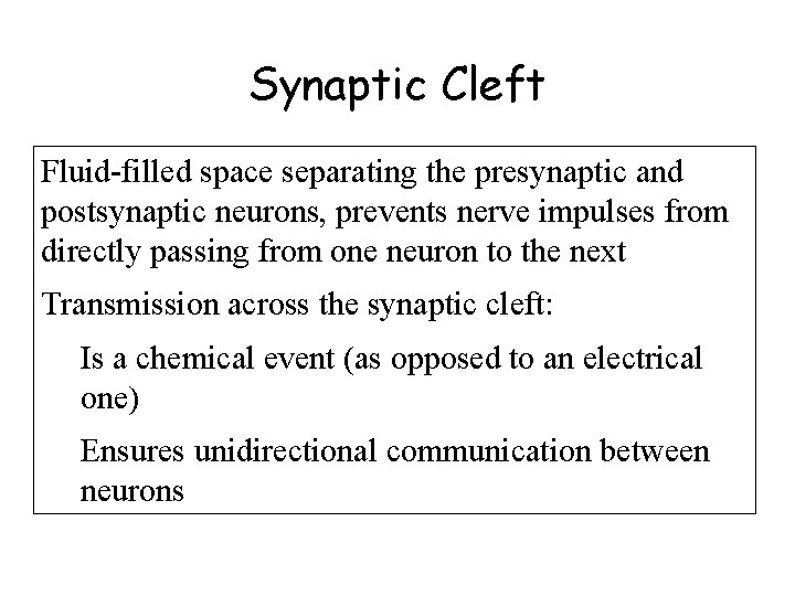 Synaptic Cleft Fluid-filled space separating the presynaptic and postsynaptic neurons, prevents nerve impulses from