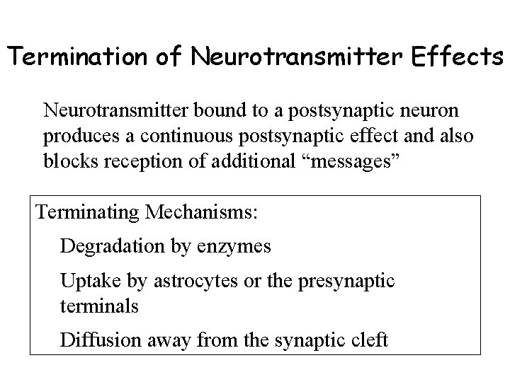 Termination of Neurotransmitter Effects Neurotransmitter bound to a postsynaptic neuron produces a continuous postsynaptic