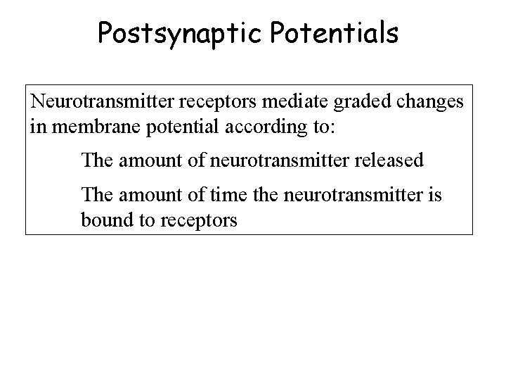 Postsynaptic Potentials Neurotransmitter receptors mediate graded changes in membrane potential according to: The amount