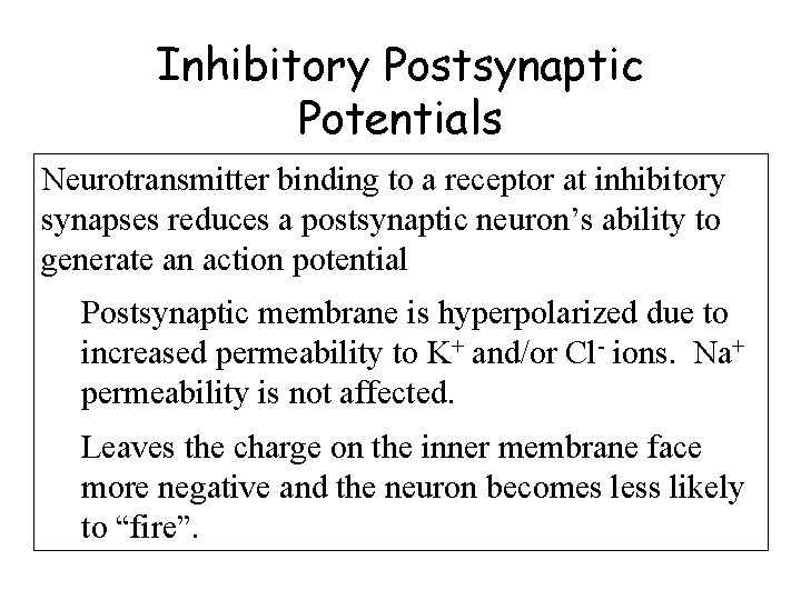 Inhibitory Postsynaptic Potentials Neurotransmitter binding to a receptor at inhibitory synapses reduces a postsynaptic