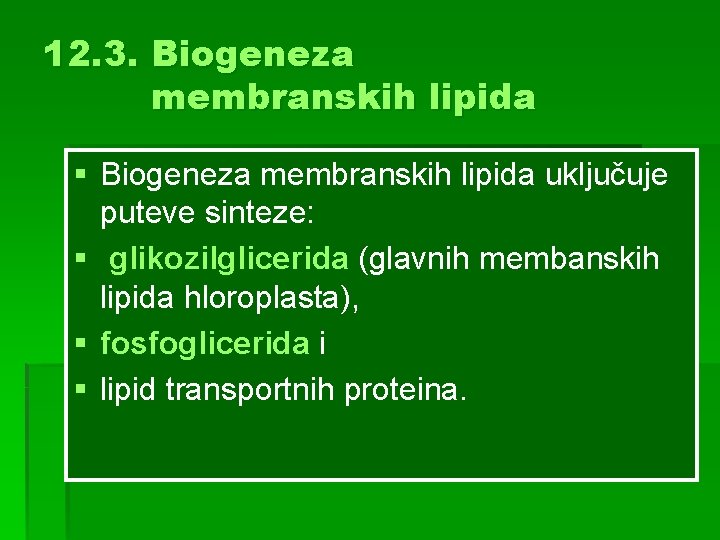 12. 3. Biogeneza membranskih lipida § Biogeneza membranskih lipida uključuje puteve sinteze: § glikozilglicerida