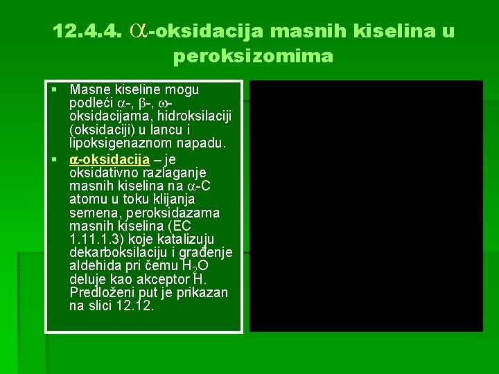 12. 4. 4. -oksidacija masnih kiselina u peroksizomima § Masne kiseline mogu podleći -,