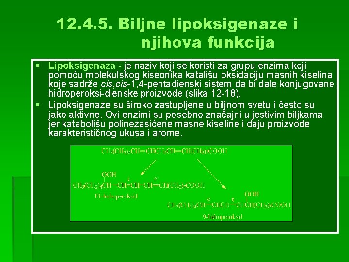 12. 4. 5. Biljne lipoksigenaze i njihova funkcija § Lipoksigenaza - je naziv koji