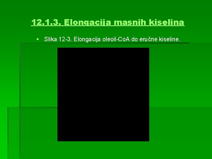 12. 1. 3. Elongacija masnih kiselina § Slika 12 -3. Elongacija oleoil-Co. A do